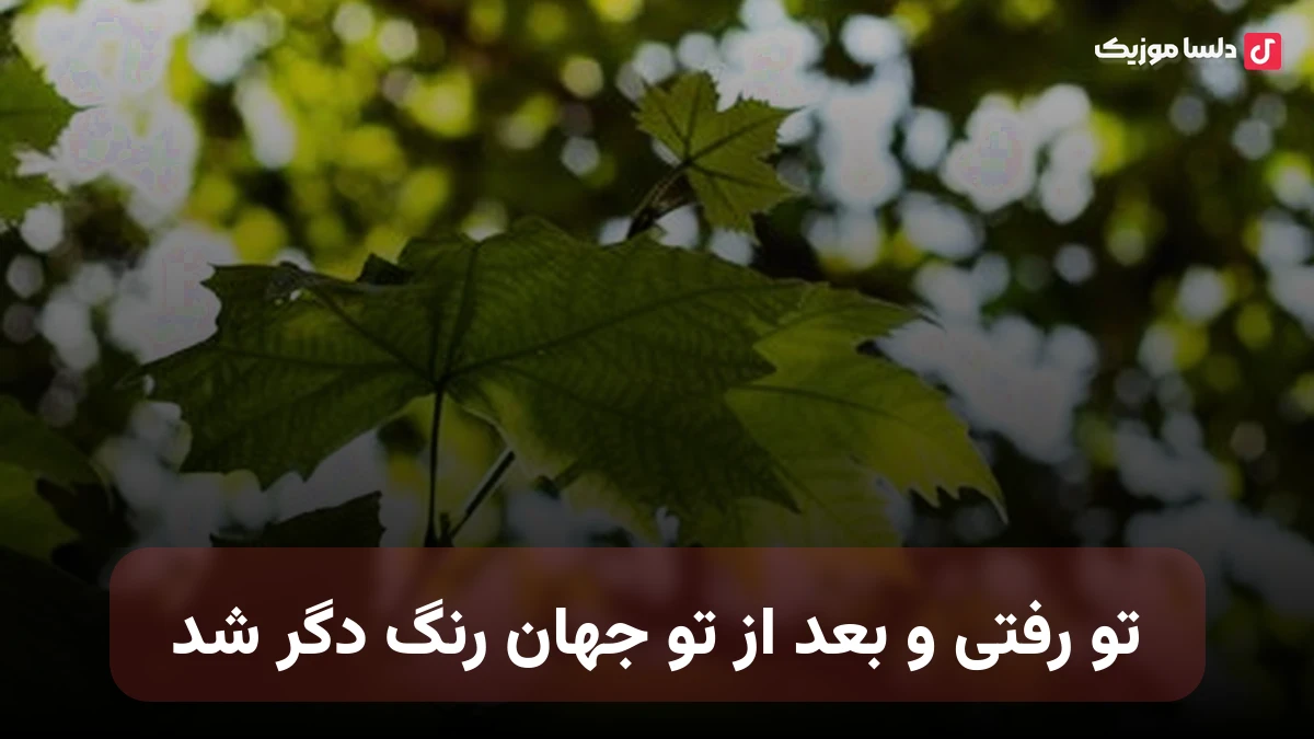 تو رفتی و بعد از تو جهان رنگ دگر شد این خانه بدون تو شب بی سحر شد